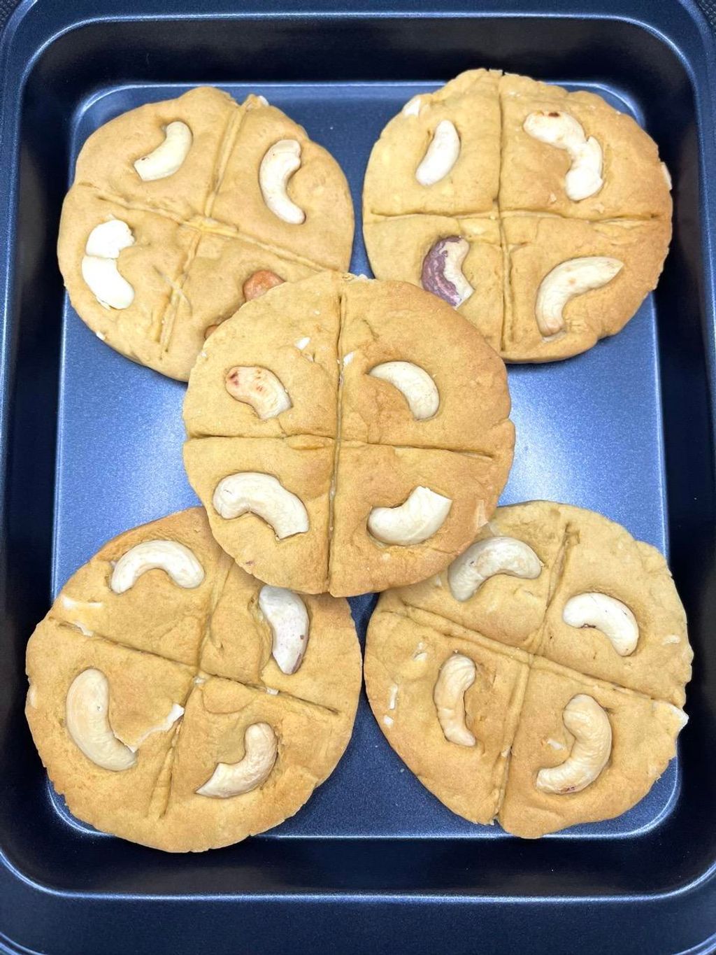 IMG_4981-1704535482110