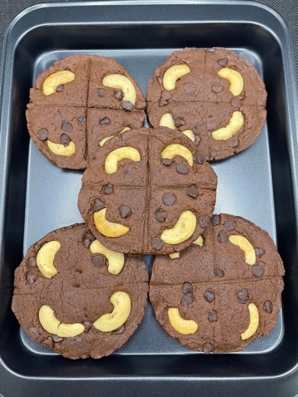 IMG_4982-1704535482131