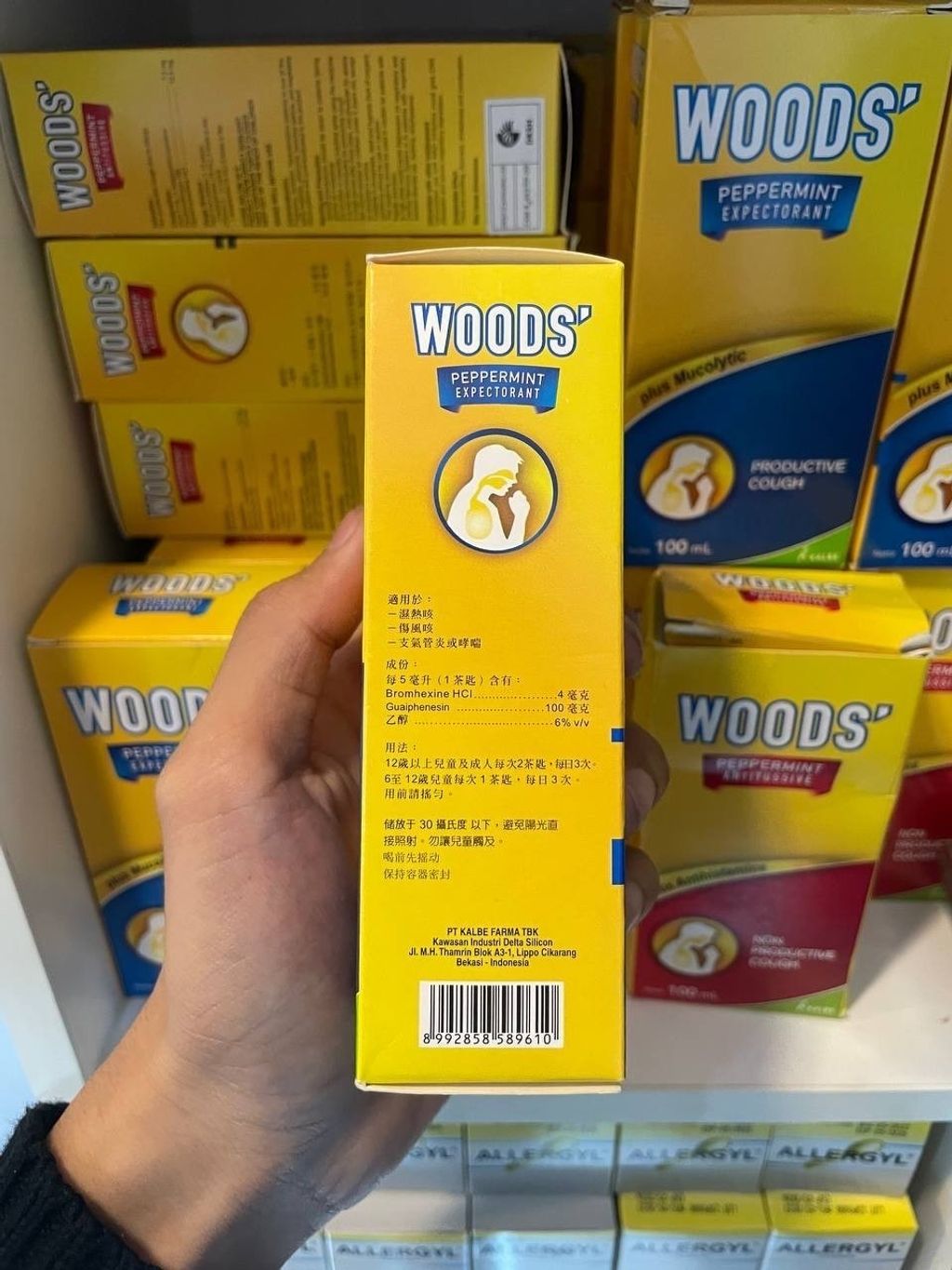 IMG_7246-1711041716788