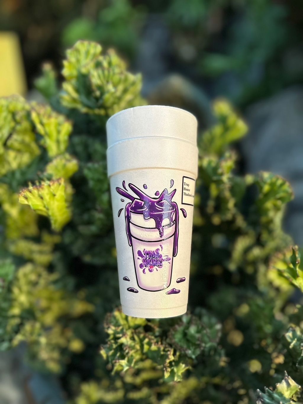 IMG_7663-1711301518426