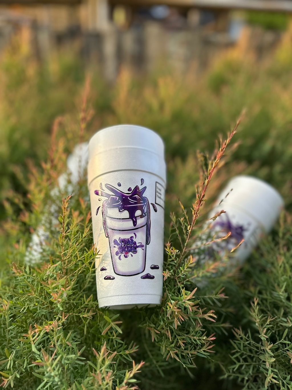 IMG_7661-1711301518487