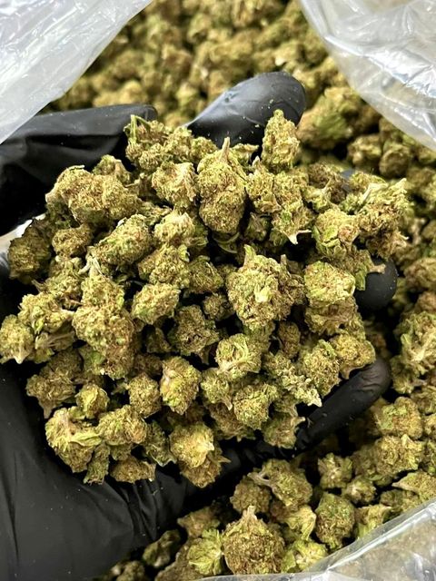 IMG_8649-1712427692868