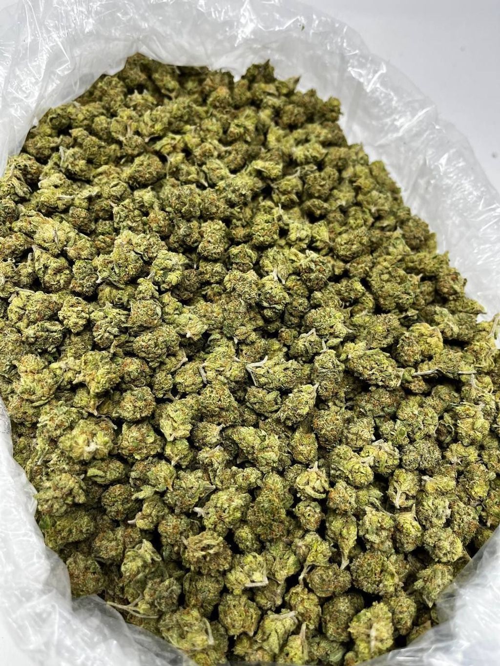 IMG_6933-1712427692999