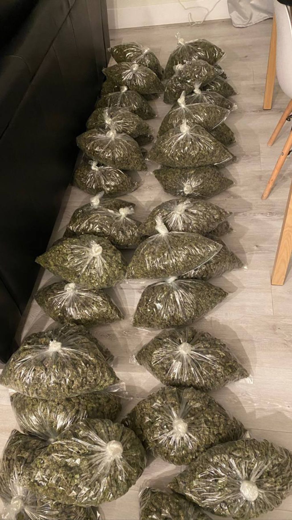 IMG_6937-1712427692802