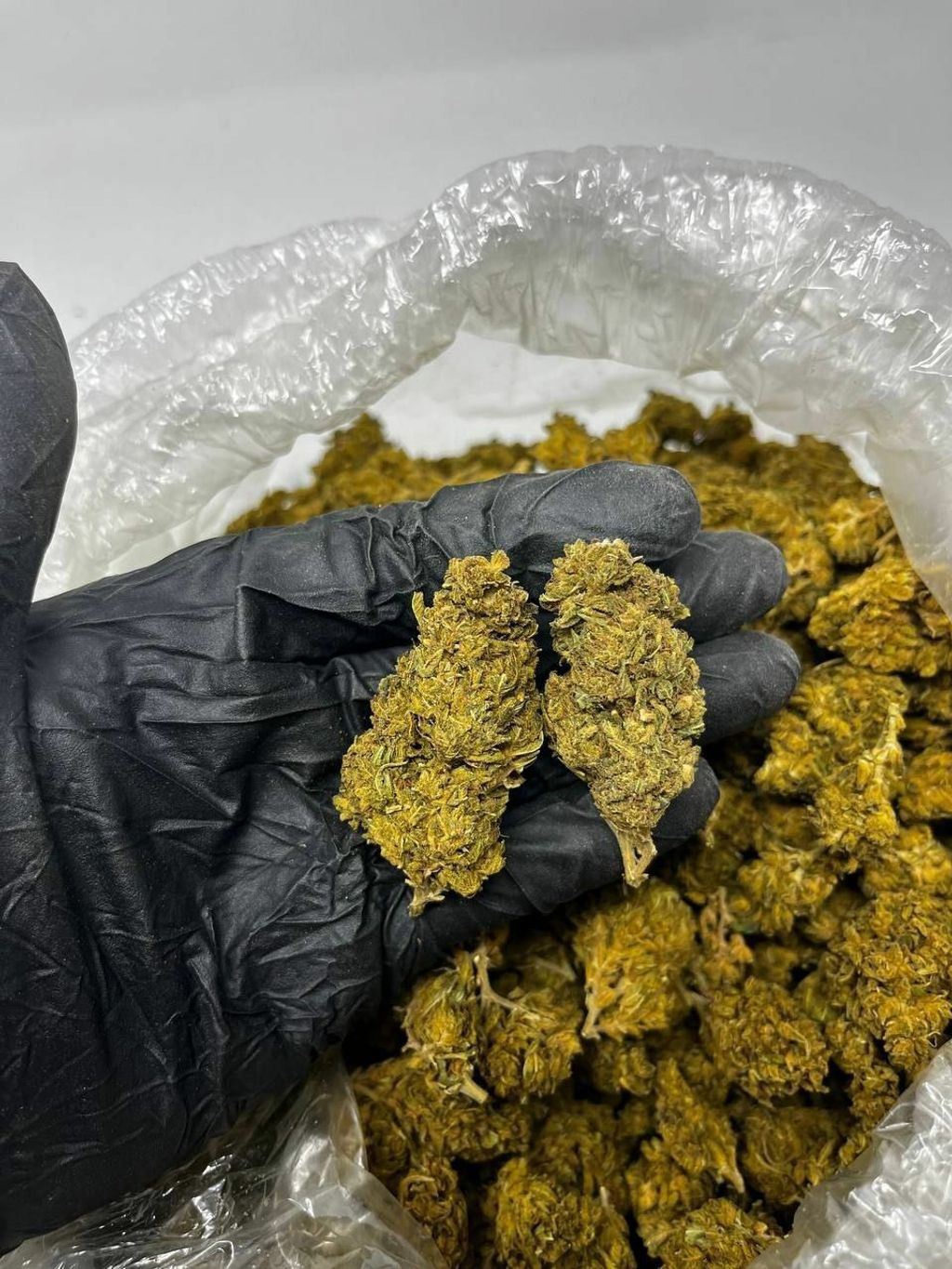 IMG_6920-1712427692956