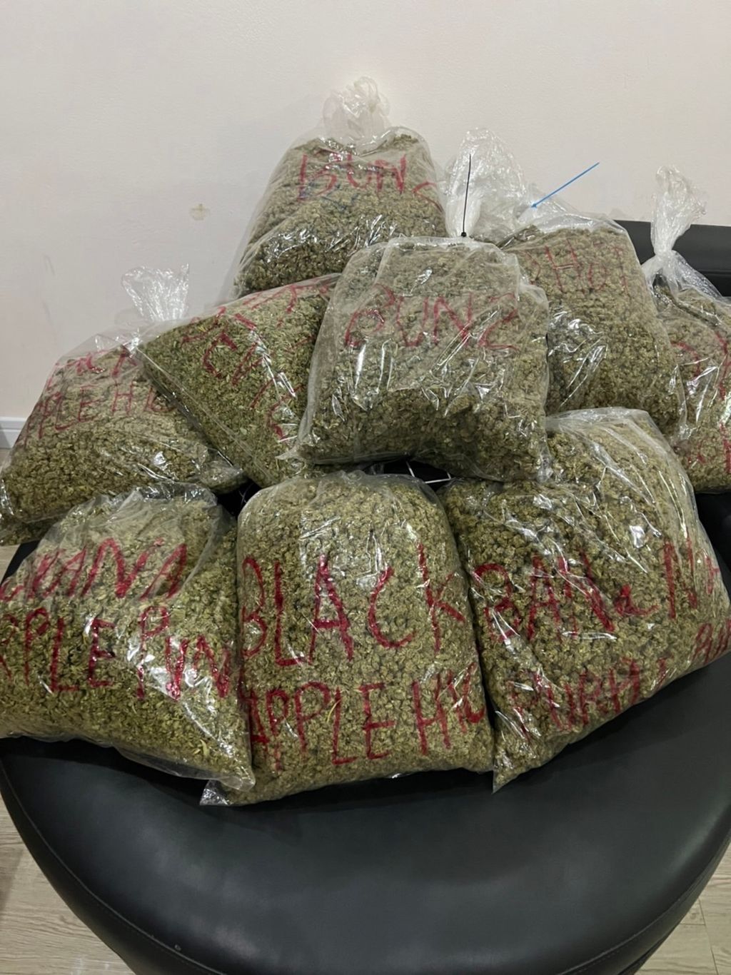 IMG_5463-1712427692916