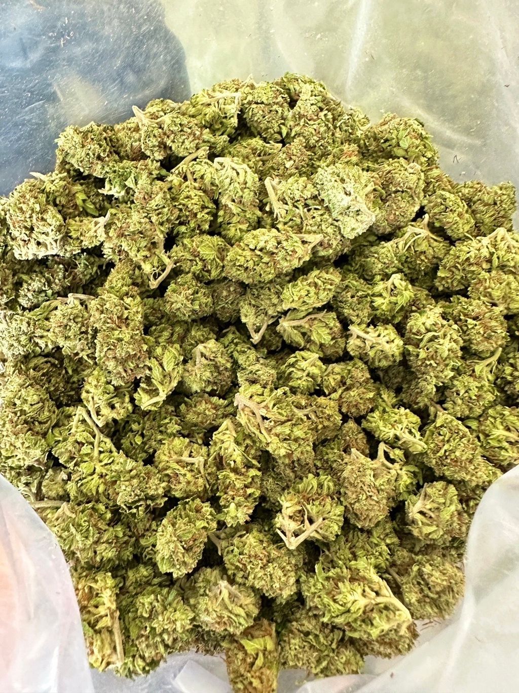 IMG_0399-1712427693116