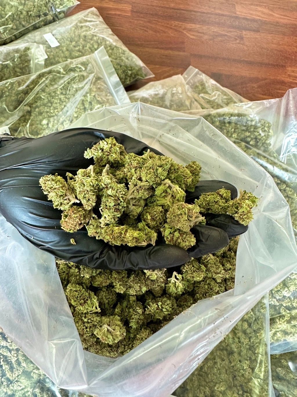 IMG_0397-1712427693194