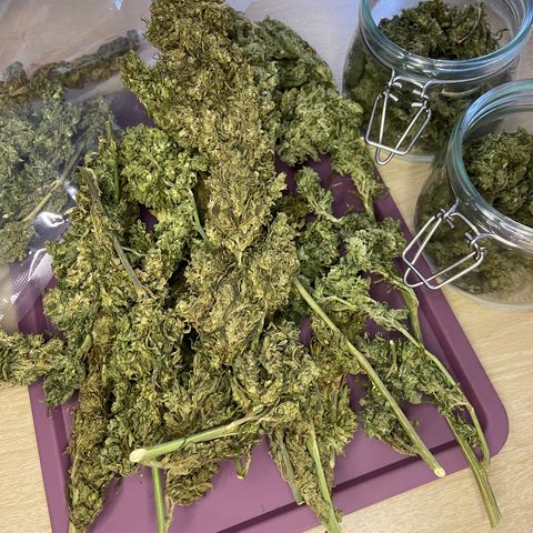 IMG_5091-1712429074607