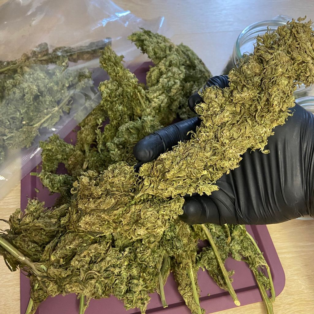 IMG_5092-1712429074696