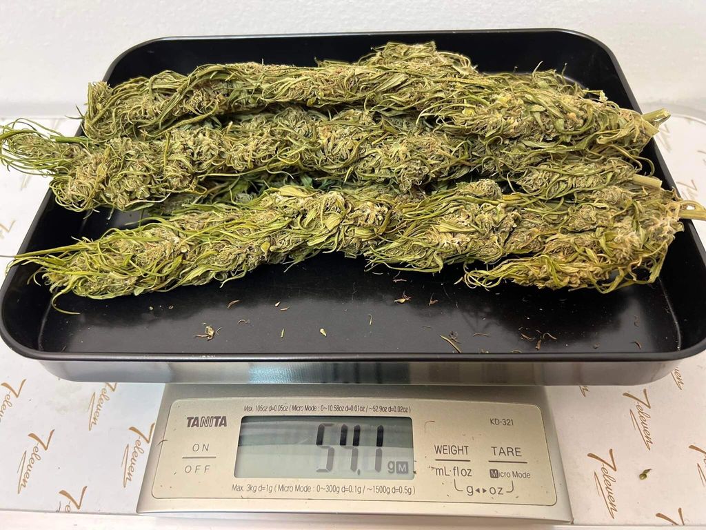 IMG_0504-1712429074733