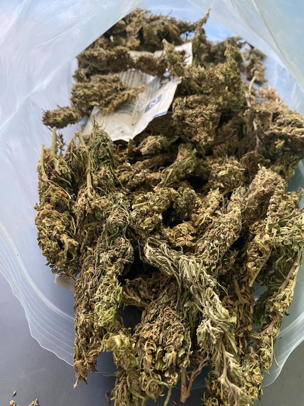 IMG_0519-1712429074648