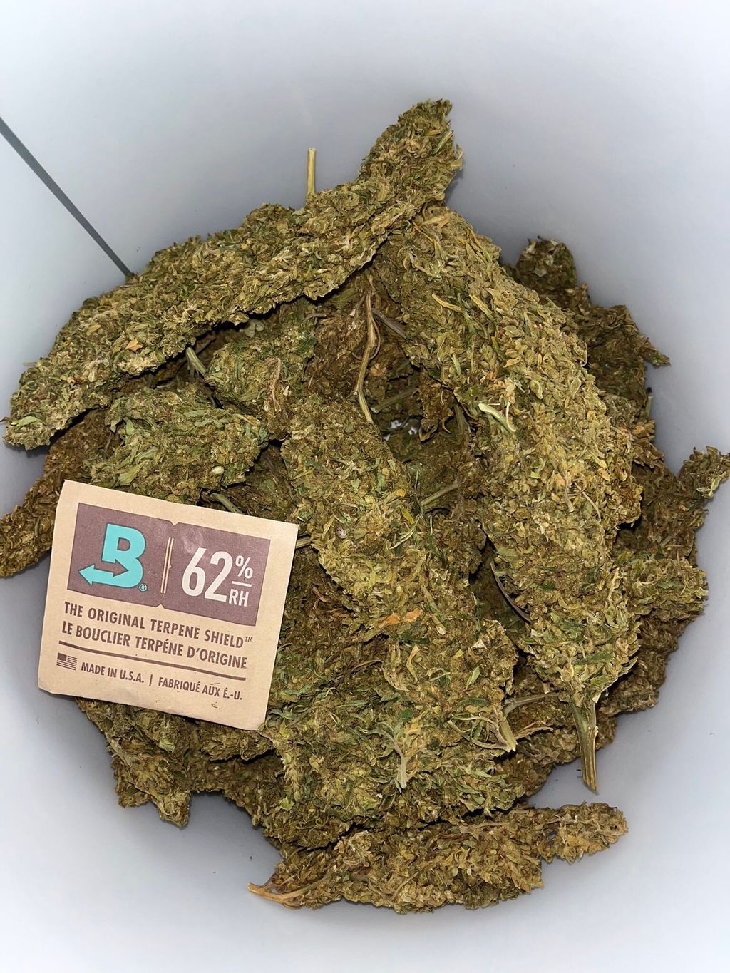 IMG_0526-1712429074779