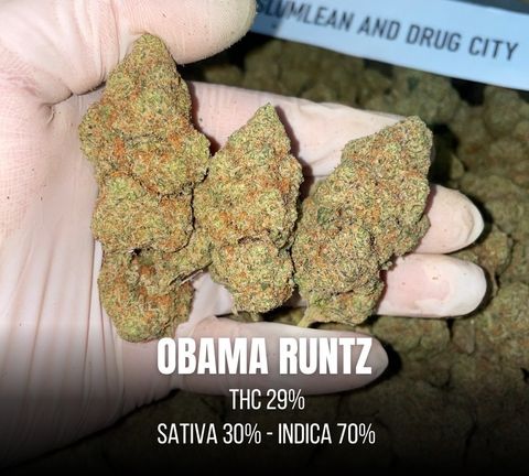 IMG_8101-1712430187912