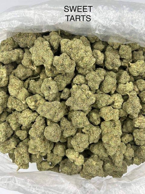 IMG_4401-1712430187787