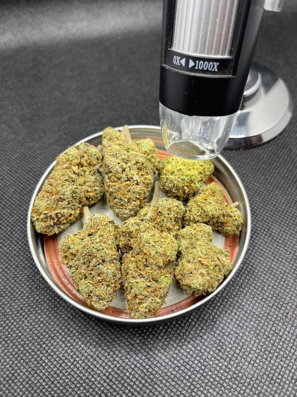 IMG_0444-1712430187946