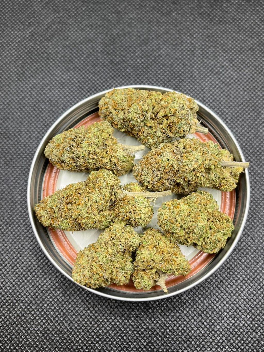 IMG_0442-1712430187821