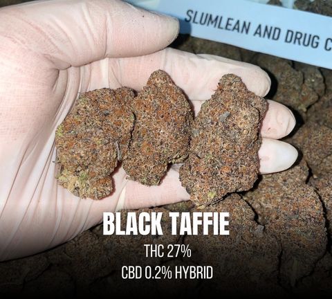 IMG_8100-1712431096604