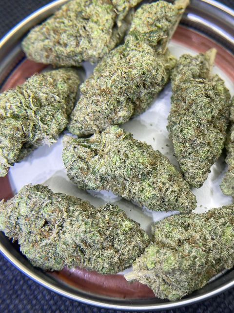 IMG_0340-1712431096540