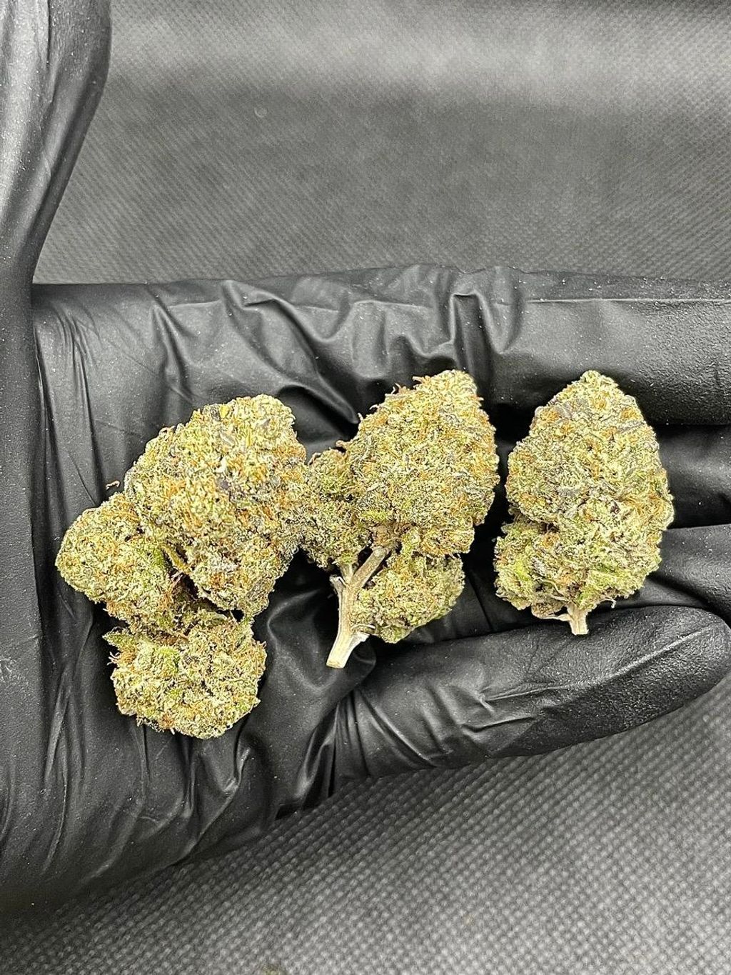 IMG_0323-1712431096434