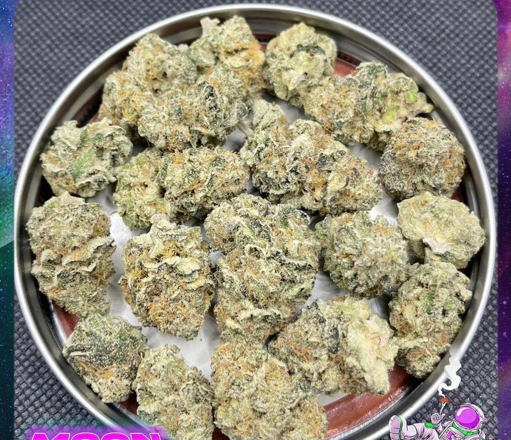 IMG_0309-1712431096801