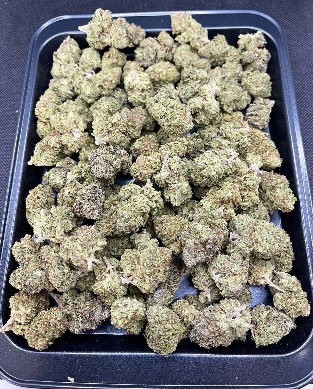 IMG_0298-1712431096733