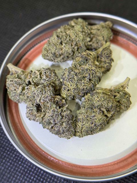 IMG_4930-1712431716879