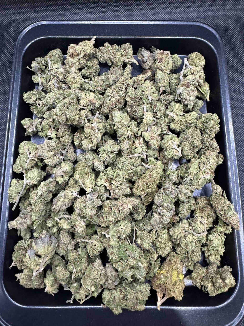 IMG_4901-1712431716970