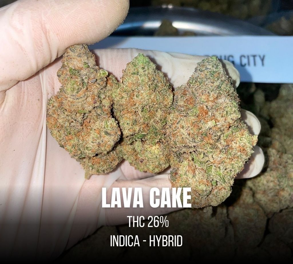 IMG_8102-1712432337934