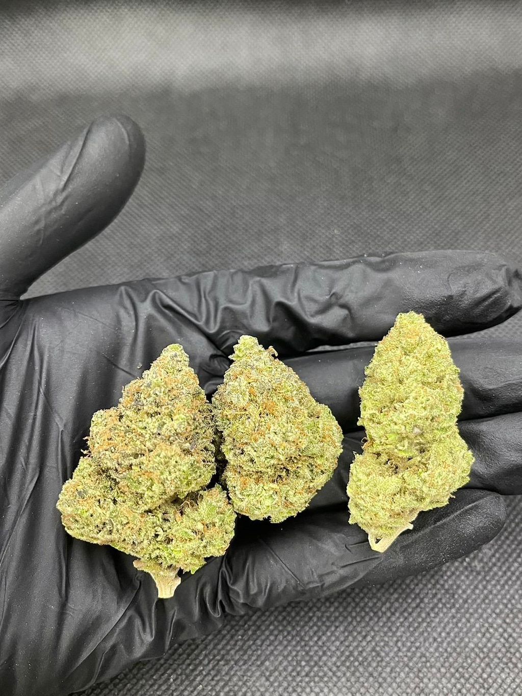 IMG_0290-1712432337986