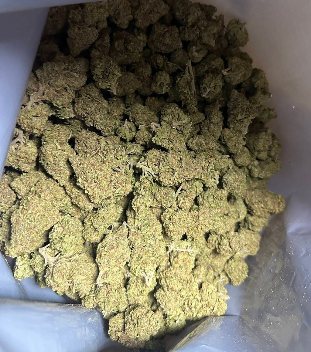 IMG_4816-1712432337848