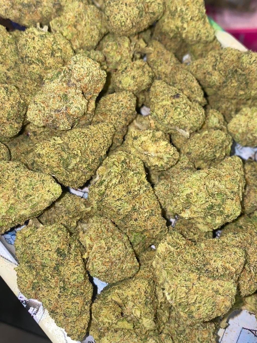 IMG_7599-1712432338143