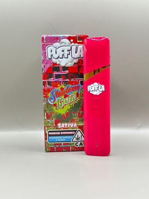 IMG_6376-1730444729760