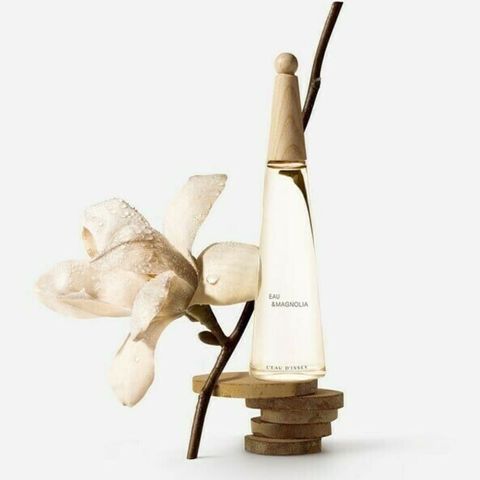 142171479462d4f1f546abe