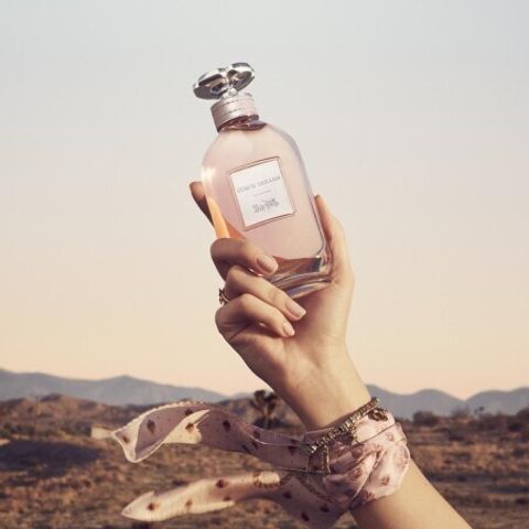 messageImage_1726046438256_0