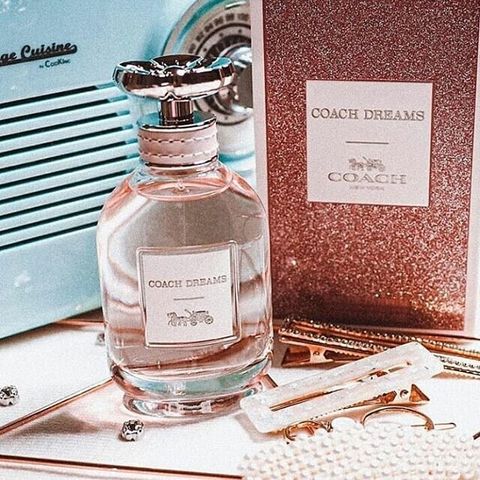 messageImage_1726046501704_0