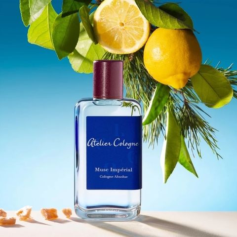 0c60f53444f48b3751686c28cafba063