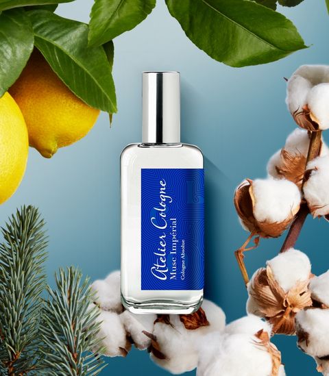 9bf6f020-3f80-417f-9d75-2b90901cd5c8