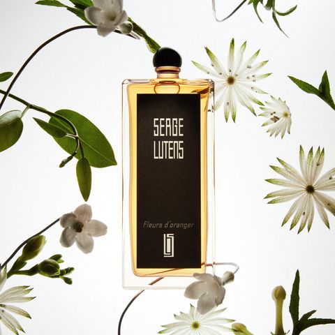 CollectionNoireFleursd_OrangerSergeLutens