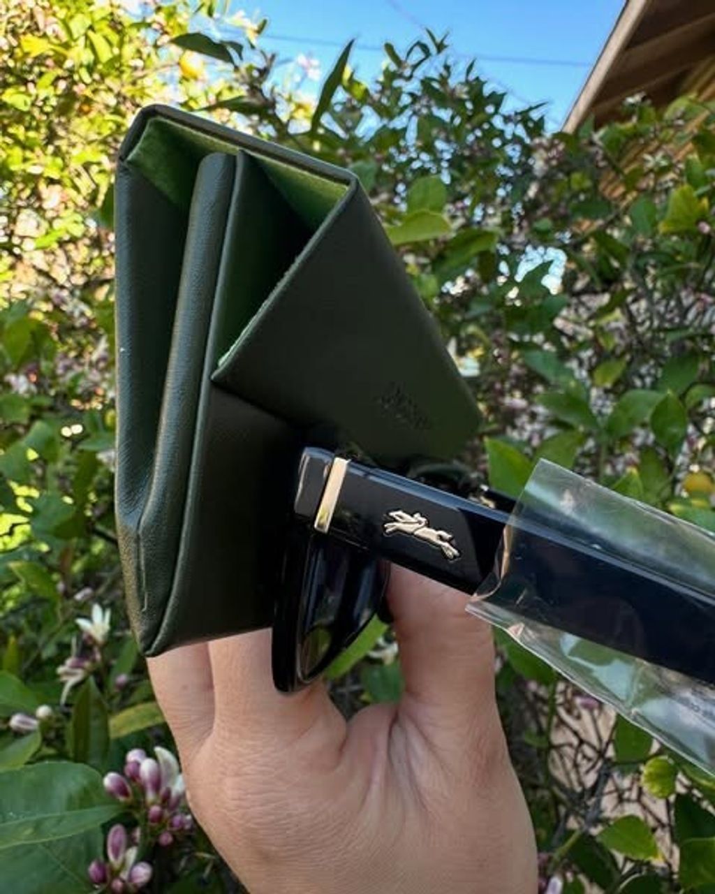 messageImage_1749279123502_0