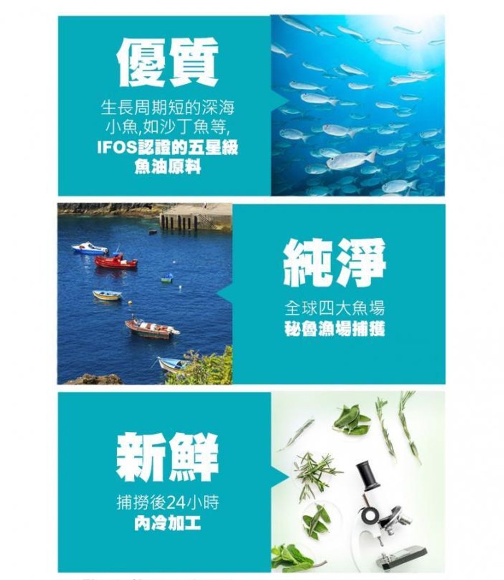 i_g40791_c_8696351_17162872