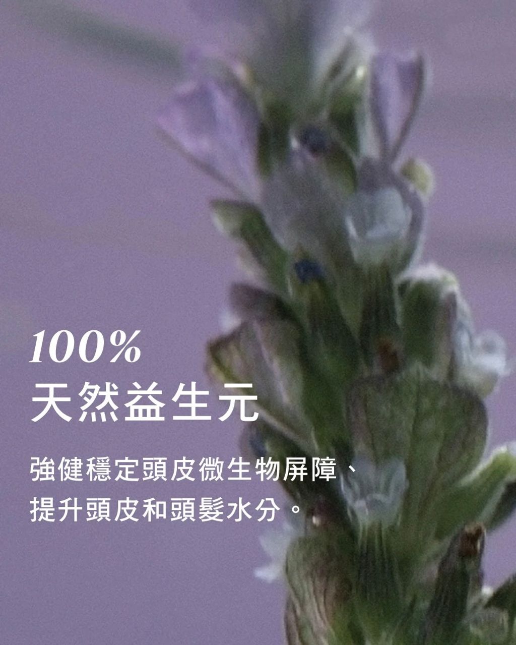 1023x1280_AROMA_GB_PDP_5