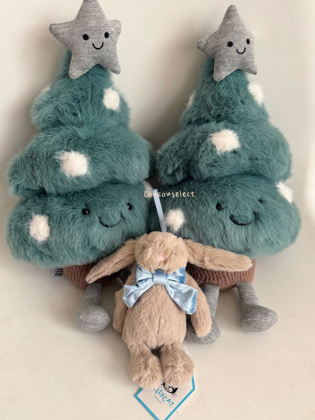 image_2E3317E6-26DA-4EA7-9945-6D398896E4F2_1764417385