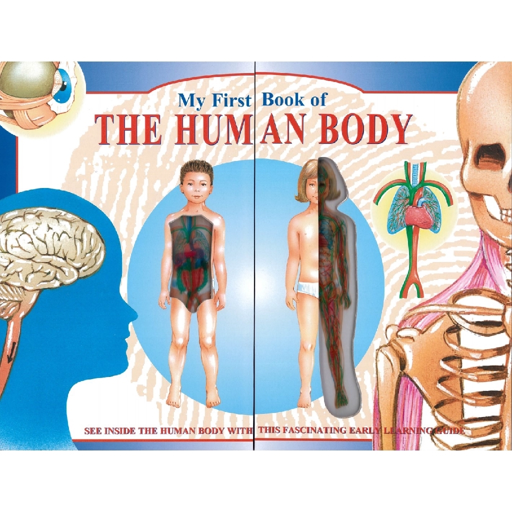 My First Book Of The Human Body Board Book – Junior Page