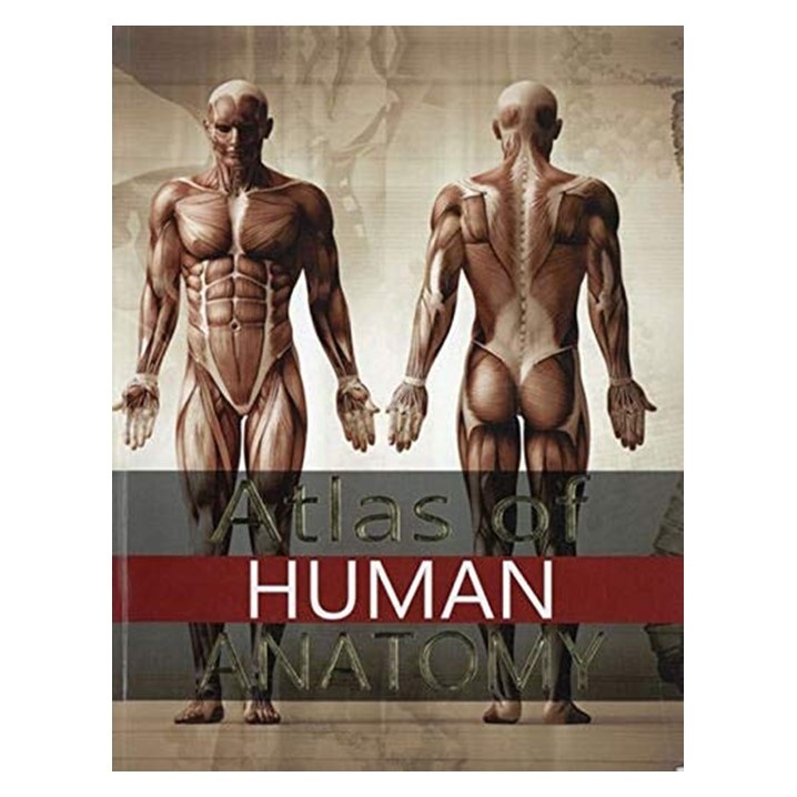 Atlas of Human Anatomy Includes CD-Rom – Junior Page Atlas of Human Anatomy Includes CD-Rom – Junior Page
