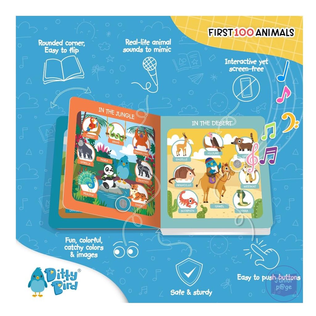 100 animals 1