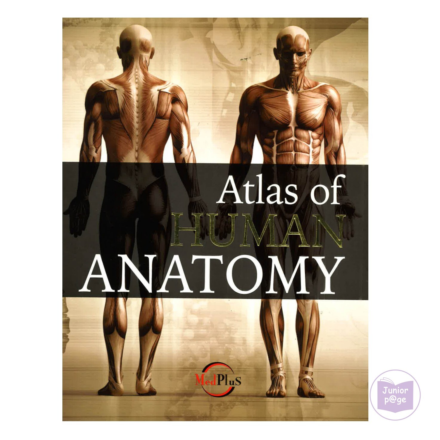 機能解剖マニュアル ATLAS OF HUMAN ANATOMY Atlas of Human DVD