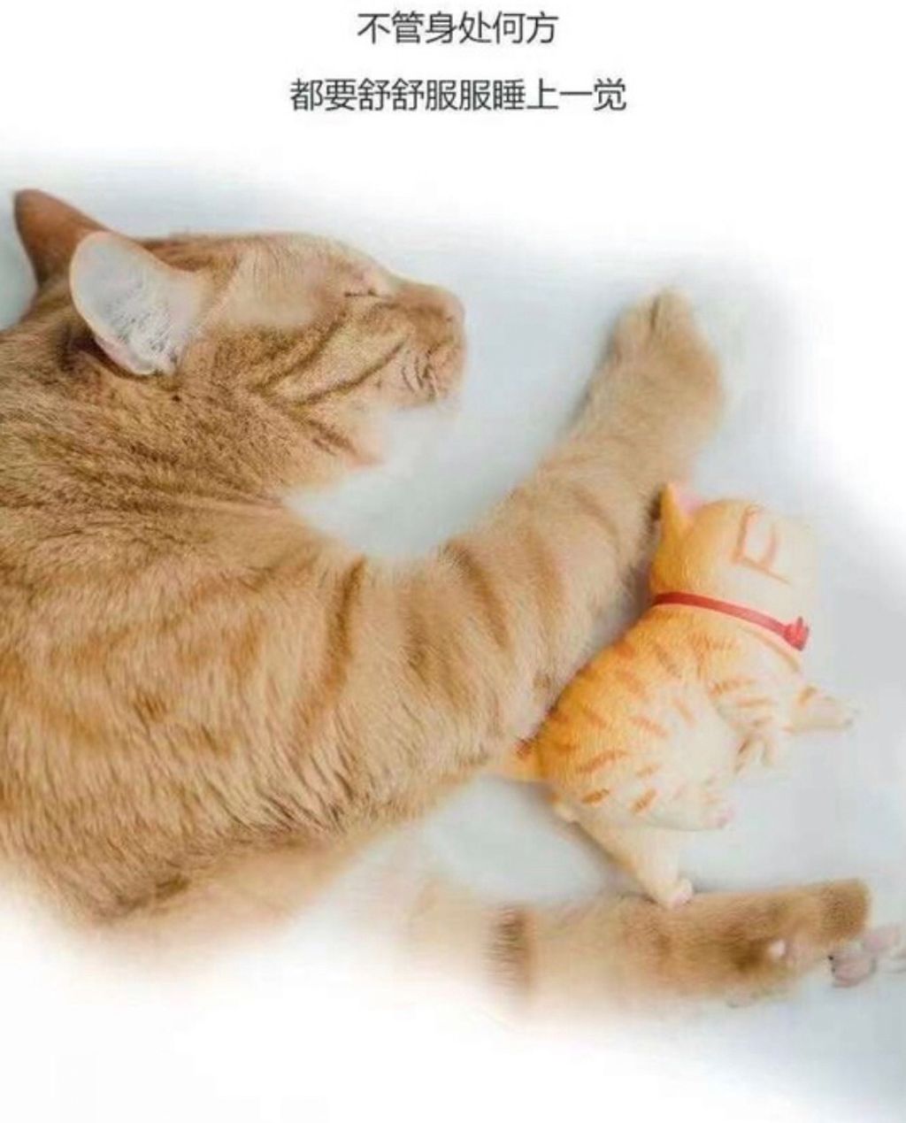 LINE_ALBUM_20221211_221211_4