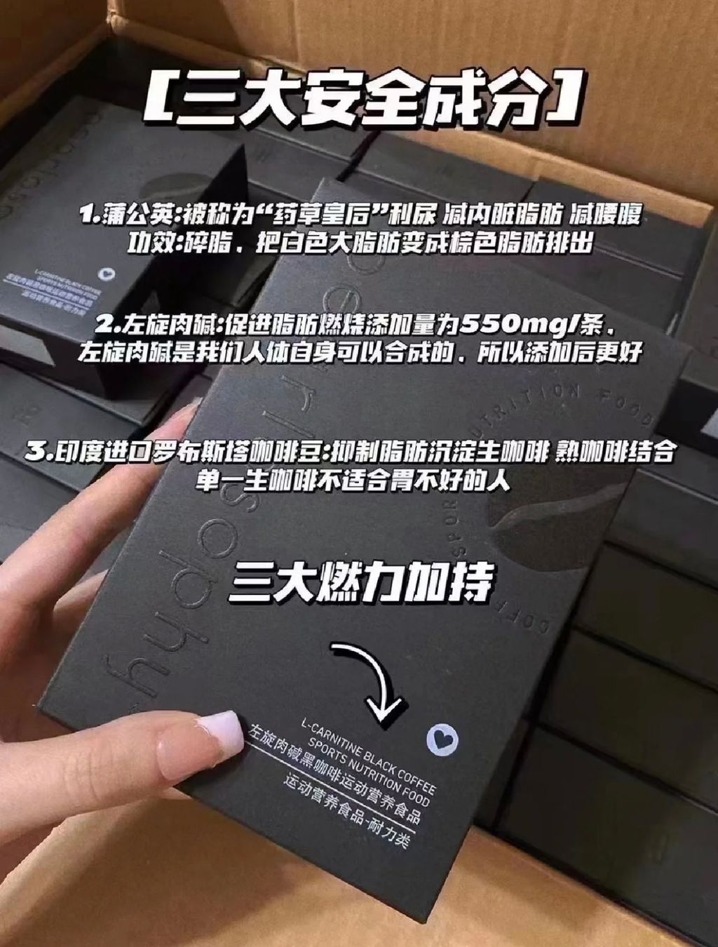 IMG_6972-1717235263718