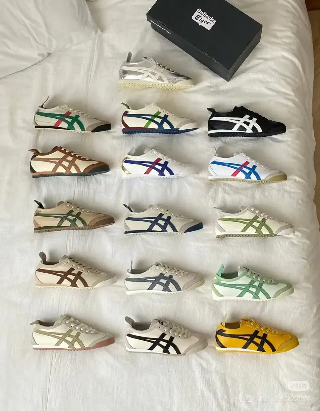 IMG_6004-1731574821614